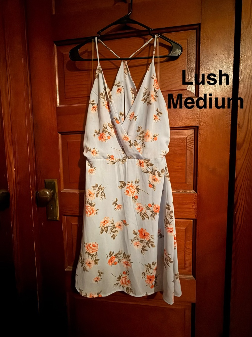 Lush Light Blue Floral Mini Dress with Peach Roses
